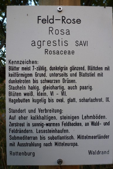 Neue Beschilderung